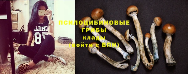 марки nbome Алзамай