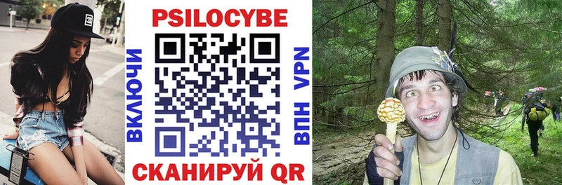 kraken как войти  Алушта  Галлюциногенные грибы Cubensis  купить закладку 